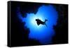 Scuba Diver Swims over Underwater Cave, Silhouette against Sun-Rich Carey-Framed Stretched Canvas