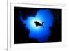 Scuba Diver Swims over Underwater Cave, Silhouette against Sun-Rich Carey-Framed Photographic Print