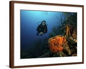 Scuba Diver Swims Underwater Amongst Sea Sponges-Stocktrek Images-Framed Photographic Print