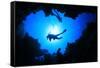 Scuba Divers Descend into an Underwater Cavern. Silhouettes against Sunburst-Rich Carey-Framed Stretched Canvas