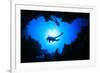 Scuba Divers Descend into an Underwater Cavern. Silhouettes against Sunburst-Rich Carey-Framed Photographic Print