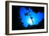 Scuba Divers Descend into an Underwater Cavern. Silhouettes against Sunburst-Rich Carey-Framed Photographic Print