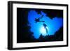 Scuba Divers Descend into an Underwater Cavern. Silhouettes against Sunburst-Rich Carey-Framed Photographic Print