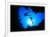 Scuba Divers Descend into an Underwater Cavern. Silhouettes against Sunburst-Rich Carey-Framed Photographic Print