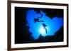 Scuba Divers Descend into an Underwater Cavern. Silhouettes against Sunburst-Rich Carey-Framed Photographic Print