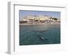 Scuba Divers Enjoy the Clear Red Sea Waters at Sharks Bay, Sharm El-Sheikh, Sinai South, Egypt-Stuart Forster-Framed Photographic Print