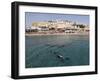 Scuba Divers Enjoy the Clear Red Sea Waters at Sharks Bay, Sharm El-Sheikh, Sinai South, Egypt-Stuart Forster-Framed Photographic Print
