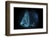 Scuba Divers Explore a Cave Near the Island of Sulawesi, Indonesia-Stocktrek Images-Framed Photographic Print