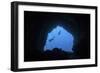 Scuba Divers Explore a Cave Near the Island of Sulawesi, Indonesia-Stocktrek Images-Framed Photographic Print