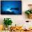 Scuba Divers Swimming Near Reef-Paul Souders-Framed Stretched Canvas displayed on a wall