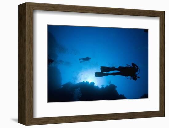 Scuba Divers Swimming Near Reef-Paul Souders-Framed Photographic Print