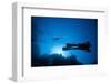 Scuba Divers Swimming Near Reef-Paul Souders-Framed Photographic Print