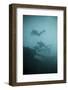 Scuba Divers Wreck Diving, Southern Thailand, Andaman Sea, Indian Ocean, Southeast Asia, Asia-Andrew Stewart-Framed Photographic Print