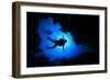 Scuba Diving in Cave-Rich Carey-Framed Photographic Print