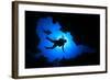 Scuba Diving in Cave-Rich Carey-Framed Photographic Print