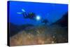 Scuba Diving in Ocean-Rich Carey-Stretched Canvas