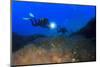 Scuba Diving in Ocean-Rich Carey-Mounted Photographic Print