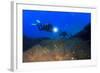 Scuba Diving in Ocean-Rich Carey-Framed Photographic Print