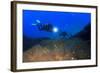 Scuba Diving in Ocean-Rich Carey-Framed Photographic Print