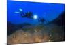 Scuba Diving in Ocean-Rich Carey-Mounted Photographic Print