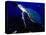 Scuba Diving in Soufriere Bay with Loggerhead Turtle, Dominica, Caribbean-Greg Johnston-Stretched Canvas