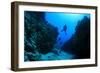 Scuba Diving in Underwater Canyon-Rich Carey-Framed Photographic Print