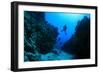 Scuba Diving in Underwater Canyon-Rich Carey-Framed Photographic Print