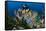 SCUBA Diving, Indonesia-Georgette Douwma-Framed Stretched Canvas