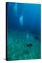 Scuba Diving-Matthew Oldfield-Stretched Canvas