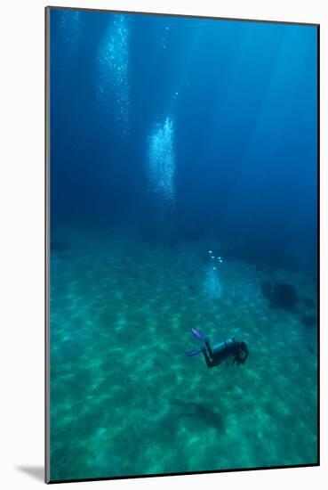 Scuba Diving-Matthew Oldfield-Mounted Photographic Print