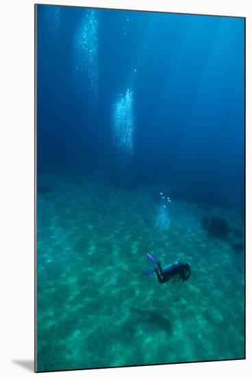 Scuba Diving-Matthew Oldfield-Mounted Photographic Print