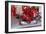 Scuderia Ferrari F1, Fernando Alonso, 2012-viledevil-Framed Photographic Print