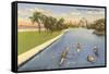 Sculls on Lincoln Park Lagoon, Chicago, Illinois-null-Framed Stretched Canvas