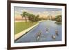Sculls on Lincoln Park Lagoon, Chicago, Illinois-null-Framed Premium Giclee Print