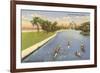 Sculls on Lincoln Park Lagoon, Chicago, Illinois-null-Framed Premium Giclee Print