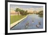 Sculls on Lincoln Park Lagoon, Chicago, Illinois-null-Framed Premium Giclee Print