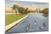 Sculls on Lincoln Park Lagoon, Chicago, Illinois-null-Mounted Premium Giclee Print