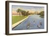 Sculls on Lincoln Park Lagoon, Chicago, Illinois-null-Framed Art Print