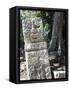 Sculpted Head Stone at Mayan Archeological Site, Copan Ruins, UNESCO World Heritage Site, Honduras-Christian Kober-Framed Stretched Canvas