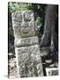 Sculpted Head Stone at Mayan Archeological Site, Copan Ruins, UNESCO World Heritage Site, Honduras-Christian Kober-Stretched Canvas