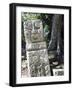 Sculpted Head Stone at Mayan Archeological Site, Copan Ruins, UNESCO World Heritage Site, Honduras-Christian Kober-Framed Photographic Print