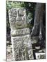 Sculpted Head Stone at Mayan Archeological Site, Copan Ruins, UNESCO World Heritage Site, Honduras-Christian Kober-Mounted Photographic Print