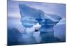 Sculpted Iceberg, Spitsbergen, Svalbard Archipelago, Norway, Scandinavia, Europe-Geoff Renner-Mounted Photographic Print