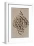 Sculpted Islamic calligraphy of Allah o Akbar (God is Great, the Greatest), Baku, Azerbaijan-Godong-Framed Photographic Print