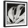 Sculpted Leaf, Hawaii, 1979 (silver gelatin print)-Brett Weston-Framed Photographic Print