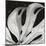 Sculpted Leaf, Hawaii, 1979 (silver gelatin print)-Brett Weston-Mounted Photographic Print