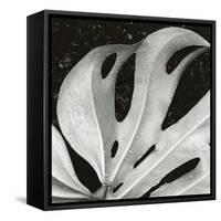 Sculpted Leaf, Hawaii, 1979 (silver gelatin print)-Brett Weston-Framed Stretched Canvas