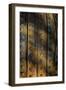 Sculptural Metal VI-Kathy Mahan-Framed Photographic Print