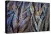 Sculptural Metal VII-Kathy Mahan-Stretched Canvas