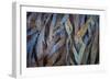 Sculptural Metal VII-Kathy Mahan-Framed Photographic Print